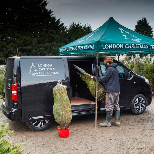 citroen e-dispatch electric van